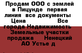 Продам ООО с землей в Пицунде, первая линия, все документы › Цена ­ 9 000 000 - Все города Недвижимость » Земельные участки продажа   . Ненецкий АО,Устье д.